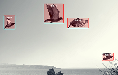 欧陆平台登录视频标注